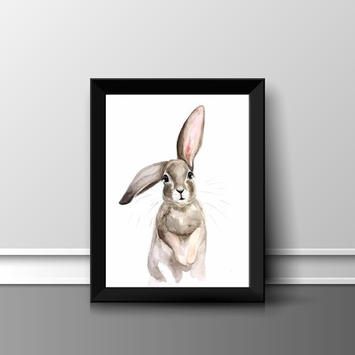 Hase druck bild - hase,
