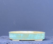 Bonsai Shohin Bonsaischale