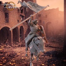 Hauptmann von Gonthan Reiter