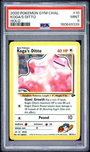 2000 pokemon gym - pokemon, 10