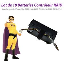 Pack x10 Batterien DELL U8735