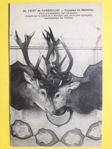 Rambouillet jagd renn - jagd,