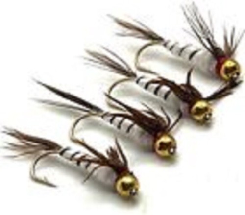 Forellen fliegenfischen - forellen,