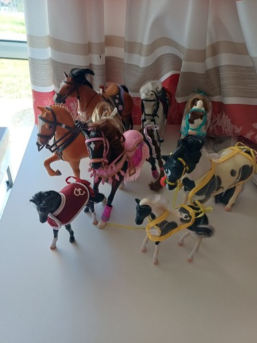 Grand champions pferde - pferde, und