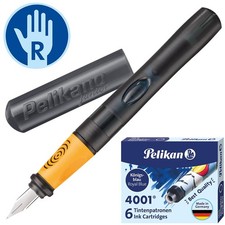 Pelikan pelikano junior - pelikano,