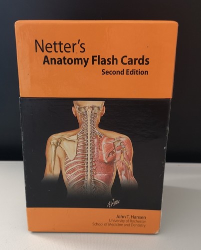 Netter anatomy flash cards - flash,