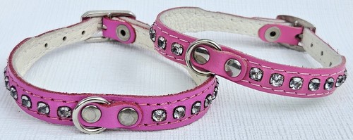 Hundehalsband halsband - hundehalsband,