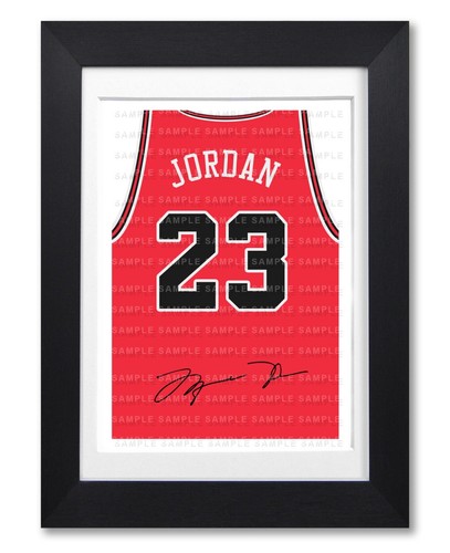 Michael jordan chicago bulls - chicago,