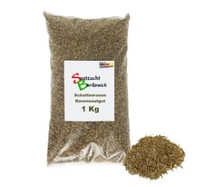 1 kg Schatten Rasen Rasensamen Rasensaat Grassamen Nachsaat