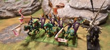 Warhammer Dunkelelfen 5+1