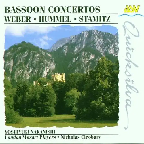 Bassoon nakanishi - bassoon,