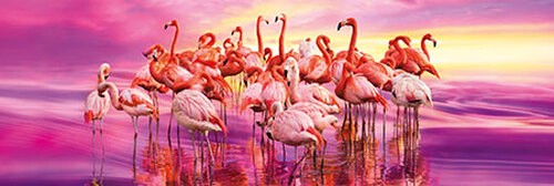 Puzzle flamingo tanz - puzzle, (1000