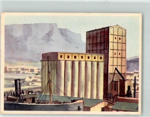 39637208 cape town sanella - 39637208,