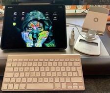 iPad pro 12.9 5 Gen 256GB wifi