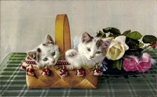 Ak Zwei junge Katzen in einem Spankorb, Rosen - 4349664