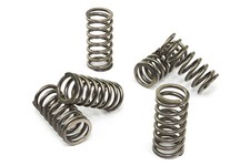 Kupplungsfedern Satz
