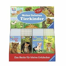 Kennst du das kleine Pferd