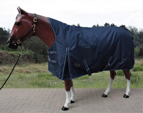 Tough horse turnout - tough,