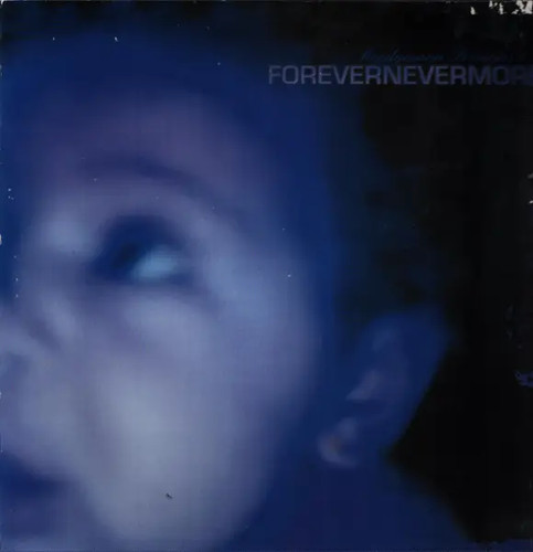 Moodymann forevernevermore - moodymann,