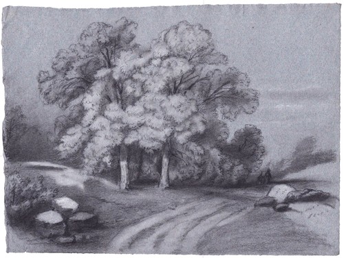 Landschaft mit bäumen - landschaft,