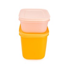 Tupperware Gefrierbehälter