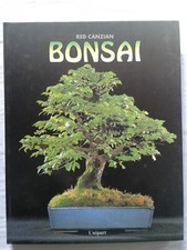Bonsai, die schönsten Bäume