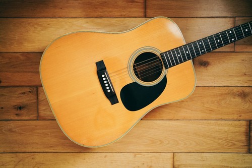 1975 takamine elite - elite,