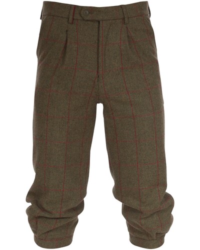 Alan paine knickerbocker - paine,