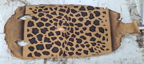 Stachelrochenhaut stingray - stachelrochenhaut,