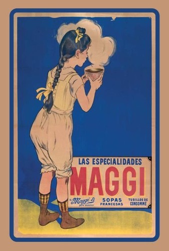 Blechschild 20x30 maggi - maggi, würze