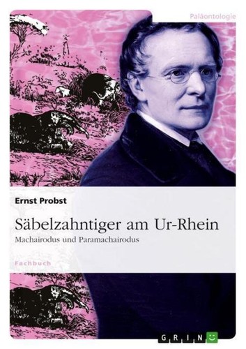 Säbelzahntiger rhein - säbelzahntiger, ur-rhein
