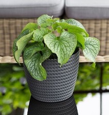 Übertopf Rund Pflanztopf