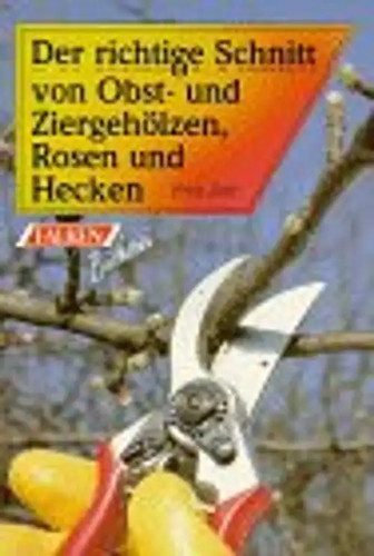 Der richtige schnitt - richtige, von