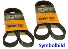 2 x CONTITECH Keilrippenriemen