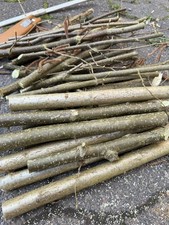 Ca. 2 KG Knabberholz Haselnuss