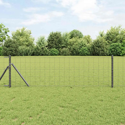Eurozaun mit betonfundament - eurozaun,