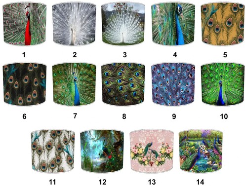 Peacock feathers lampenschirme - peacock,