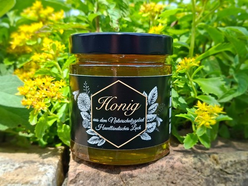 Roh honig juni - juni-blüte,