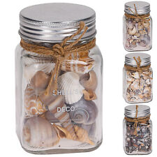 4er Set Deko Muscheln im Glas Muschelmix zum basteln Groß Schnecken Maritime