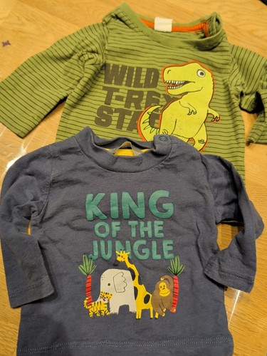 Pullover junge tiere dino - pullover,junge,tiere,,
