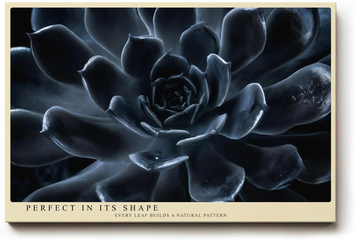 120x80cm paul sinus wandbild - 120x80cm,