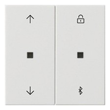 Gira Bedienelement 2f