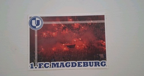 Aufkleber ultras fans - aufkleber, 1.fc