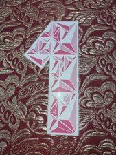 FC Bayern München Magenta 1 Flock Beflockung für Trikot Spielertrikot z0311