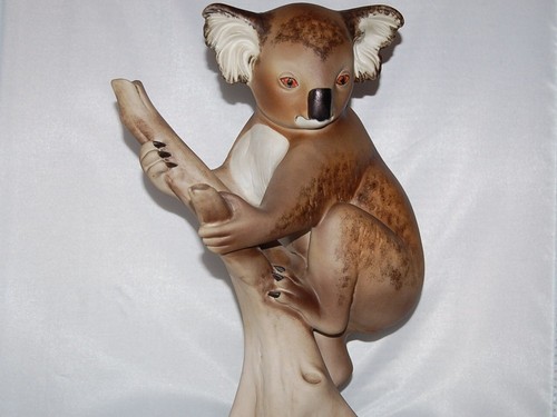 Süßer koala auf - auf, zweig
