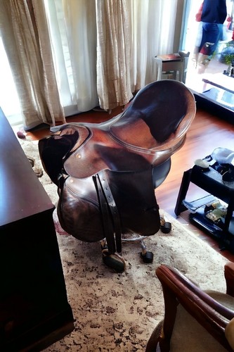 Designer sattelhocker - designer,