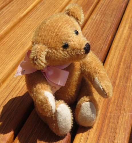 Kuscheliger teddybär - kuscheliger,