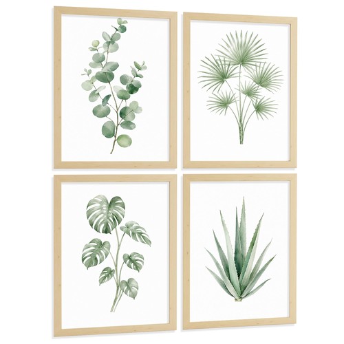 Tropische poster eukalyptus - poster,