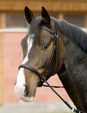 Trense  Gebisslos Reiten