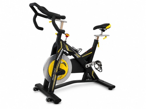 Horizon gr6 indoor cycle - horizon,